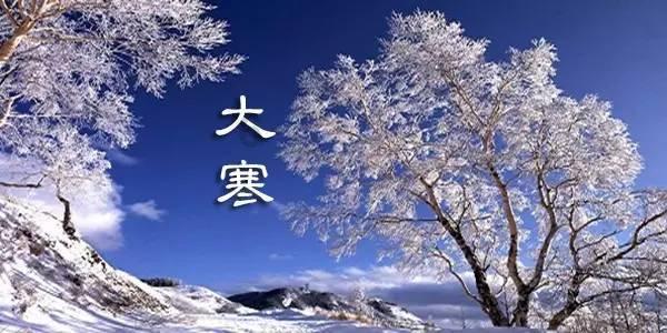 动物帮帮忙保卫家园